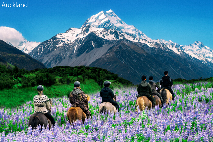 銀座の高級クラブで働いている人気ホステスさんがオススメするオークランド(ニュージーランド)