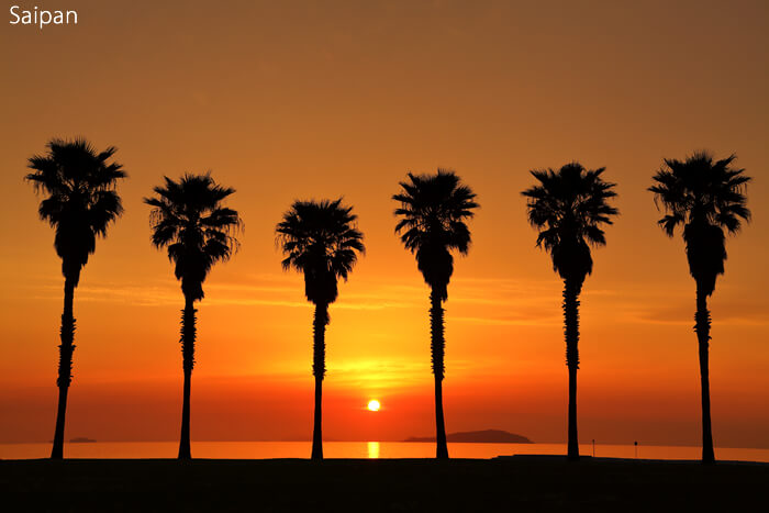 銀座の高級クラブで働いている人気ホステスさんがオススメするサイパン(アメリカ)