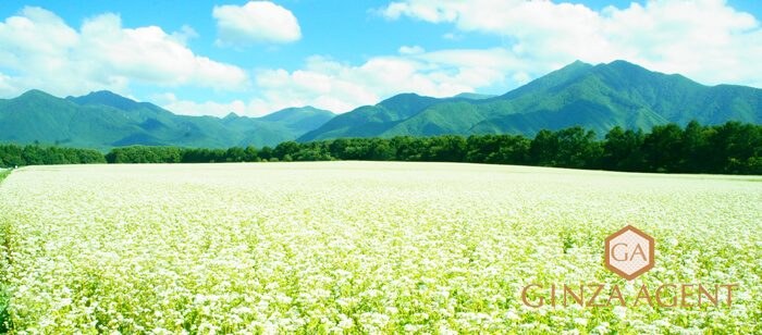 大松屋 銀座本店(おおまつや)