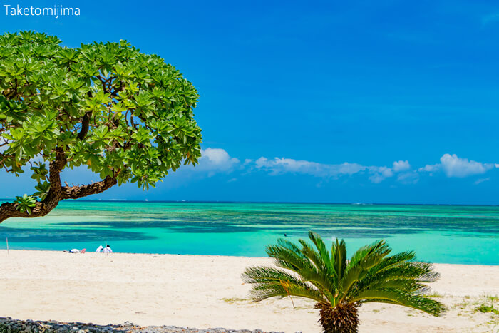 銀座の会員制高級クラブで働いているホステスさんにオススメのリゾート地・沖縄県の竹富島(たけとみじま)
