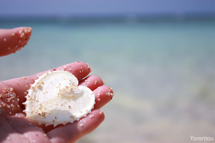 銀座の会員制高級クラブで働いているホステスさんにオススメのリゾート地・鹿児島県 与論島(よろんとう)