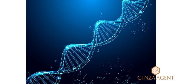 しかし、そもそも本来備わっている「特性」である場合があります。
それは「血統として既に貴女のDNAに組み込まれている特性」